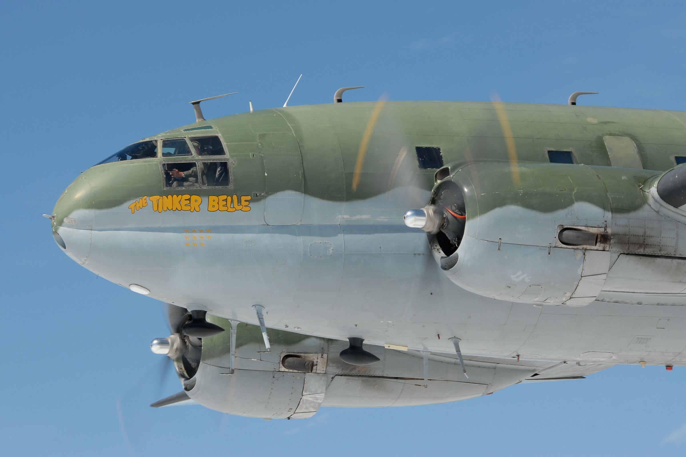 C46 Tinker Belle (2)